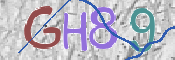 Immagine CAPTCHA