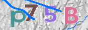 Immagine CAPTCHA