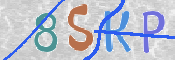 Immagine CAPTCHA