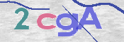 Immagine CAPTCHA