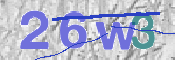 Immagine CAPTCHA