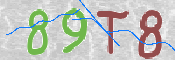 Immagine CAPTCHA