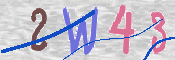 Immagine CAPTCHA