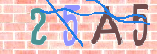Immagine CAPTCHA